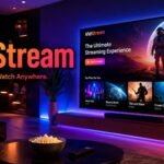 VidStream